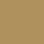 Paint and Paper Library Suede V Paint